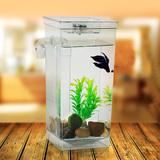 自洁鱼缸迷你缸办公桌面免换水创意生态小型金鱼缸水族箱斗鱼