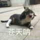 异忧阁店铺