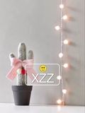 新款20头LED太阳能毛毛球灯串雪花灯串led小彩灯装饰圣诞