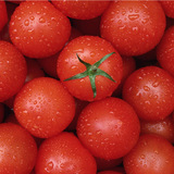 正宗海南千禧 圣女果 小西红柿 小番茄 新鲜水果 约5斤