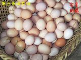 绿壳鸡蛋礼品新鲜草鸡蛋 苏北农家散养土鸡蛋笨鸡蛋乌骨鸡蛋