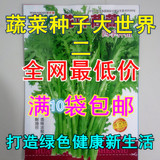 阳台盆栽四季播易种菜园蔬菜种子黄瓜白菜紫苏韭菜草莓丝瓜番茄