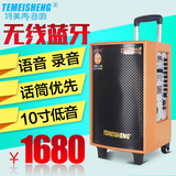 Temeisheng GD10-01高端户外拉杆音响10寸低音广场舞蓝牙电瓶音箱