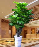 仿真植物假树大型仿真招财发财树酒店宾馆客厅办公室盆景装饰
