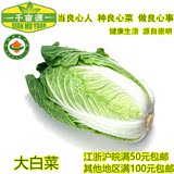 【千亩源】上海崇明有机大白菜有机蔬菜新鲜蔬菜绿色无公害大白菜