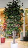 帝景工艺仿真植物仿真树假树客厅办公 5杆2米榕树装饰绿植花艺花