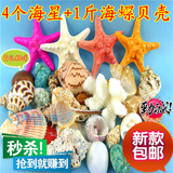 包邮天然海螺贝壳海星批发 4个海星1斤海螺套装 家居装饰地台摆件