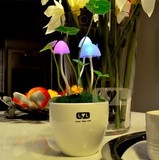 正品阿凡达蘑菇灯 陶瓷板 LED小夜灯 七彩蘑菇灯 感应蘑菇灯