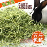 5斤包邮 2015新草超绿提摩西草提木西草兔豚鼠草绿提兔粮干草250g