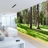3D立体风景绿色森林阳光 电视背景墙纸壁纸 客厅沙发大型壁画
