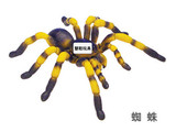昆虫4D立体拼插拼装恐龙蛋玩具恐龙模型拼装沙漠动物 蜘蛛