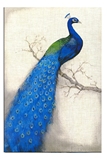 蓝孔雀新古典 美式 进口画心装饰画画心动物客厅卧室样板间画芯
