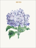 北欧装饰画客厅现代简约挂画壁画田园小清新水彩紫色花卉画芯