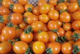 新鲜黄小西红柿  黄西红柿 黄番茄 黄柿子 圣女果500克