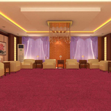 沈阳天津长春现货地毯 高密15mm厚度高端舒适宾馆酒店会议室地毯