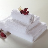 罗瑞欧家纺宾馆酒店床上用品 加大加厚毛巾 美发足浴桑拿专用