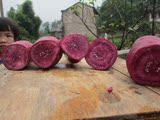 2014年农家自种新鲜有机迷你生小紫薯 非湖南品种 10斤装包邮送礼