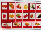 幼儿园教师教学教具卡片儿童早教卡片认识水果图片识字卡片有图
