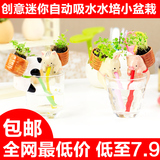 创意diy迷你可爱陶瓷动物植物生态瓶办公室桌面摆件吸水小盆栽