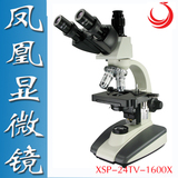 江西凤凰三目专业显微镜XSP-24TV机械平台1600倍高清显微镜