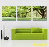客厅大堂卧室无框画 装饰画 三联画 挂画 时尚简约环保 大树绿色
