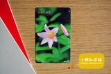 [日本田村卡] 电话磁卡 NTT收藏卡 花卉271191