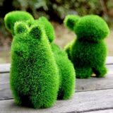 仿真花草植物盆栽迷你可爱现代简约礼品小摆件创意装饰品绿色养眼