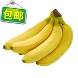 香蕉海南水果新鲜  农家有机水果果肉香甜好吃5斤装空运包邮
