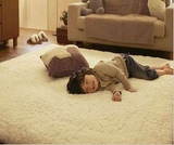 【天天特价】可水洗 欧式 超柔顺丝毛地毯客厅地毯卧室床边地毯