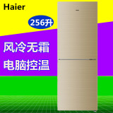 Haier/海尔 BCD-256WDGK双门冰箱家用风冷无霜冷藏冷冻智能冰箱