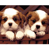【佳彩天颜】 diy数字油画 风景动物手绘装饰画 两只狗狗可爱朋友