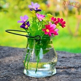 创意悬挂式玻璃花瓶 田园式家居装饰 可摆可挂水培装饰花瓶