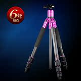 富图宝C4c紫红时尚 碳纤维超轻便携 专业三脚架/三角架 锻造工艺