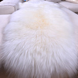 冬季欧式纯羊毛地毯沙发坐垫客厅茶几垫卧室床边毯飘窗垫皮毛一体