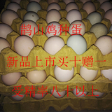 鹊山鸡种蛋，受精蛋，孵化用蛋，绿壳种蛋，量大从优，观赏鸡种蛋