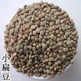 芽苗菜种子小扁豆种子有机蔬菜种子 豆芽机阳台菜扁豆芽豆