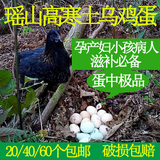 湖南林葵雪峰乌骨土鸡蛋乌鸡蛋绿壳蛋散养新鲜有机正宗农家土鸡蛋