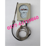 WTZK-802ATH电力变压器温度控制器 油面温控器BWY-802ATH 华立
