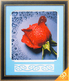 包邮 大艺术家品牌正品  进口5D钻石画圆钻 A-1020 红色水滴玫瑰