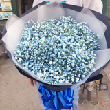 蓝色满天星鲜花花束送情人爱人朋友广州北京重庆成都同城鲜花速递