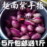 越南迷你小紫薯5斤 新鲜小番薯红薯山芋地瓜新鲜粗粮新鲜蔬菜
