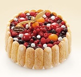 天津哈根达斯生日蛋糕冰激凌蛋糕冰淇淋【夏洛特之吻】草莓巧克力
