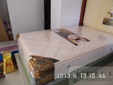 韶兴品牌床垫3D床垫高级床垫天然耶棕床垫梦舒系列乳胶双层棉803