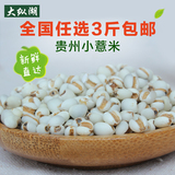 薏米仁 农家自产特级优质新鲜小薏米新货纯天然苡米薏米粥祛湿