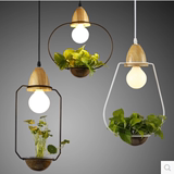 简约创意铁艺田园新中式DIY植物吧台橱窗卧室床头餐厅装饰吊灯