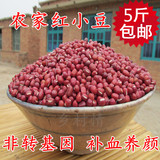 红小豆 农家自产红小豆 赤豆 红豆 五谷杂粮新货 特价500g 可批发