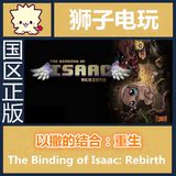 steam国区/The Binding of Isaac: Rebirth/以撒的结合重生/胎衣