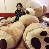 美国大熊毛绒玩具公仔2.6米巨型泰迪熊3.4米抱抱熊陈乔恩娃娃女生