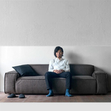 日式高档羽绒布艺沙发组合现代简约小户型三人双人创意新款软沙发