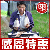 竹荪 干货 竹笙农家特级天然无硫熏 食用菌菇 井冈山特产 土特产